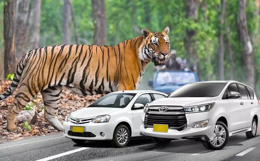 Jaipur To Ranthambore Taxi